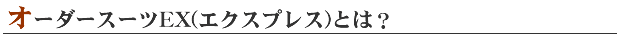 I[_[X[cEX(GNXvX)Ƃ?